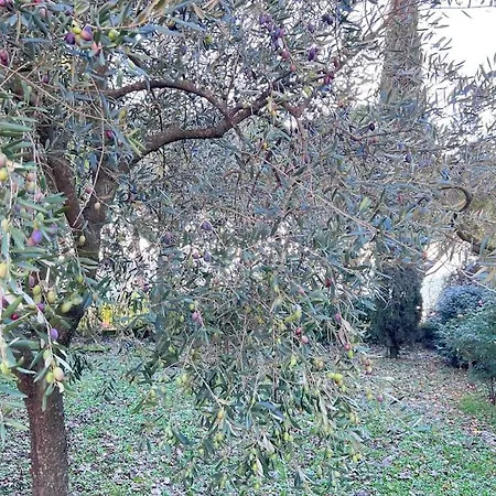 Villa Farrattini Amelia