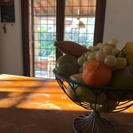 וילה Farrattini אמליה